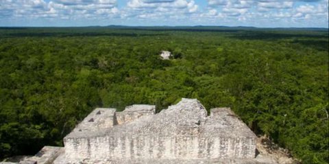 Arkeolog Temukan Kota Metropolis Kuno Tersembunyi di Tengah Hutan, Pernah Dihuni 50.000 Penduduk