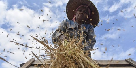 Dukung MBG, OJK Fokus Kembangkan Asuransi Pertanian