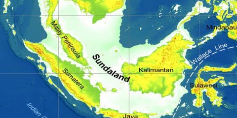 Ribuan Fosil Manusia 'Sundaland' Baru Ditemukan di Selat Madura, Ketahui Sejarahnya