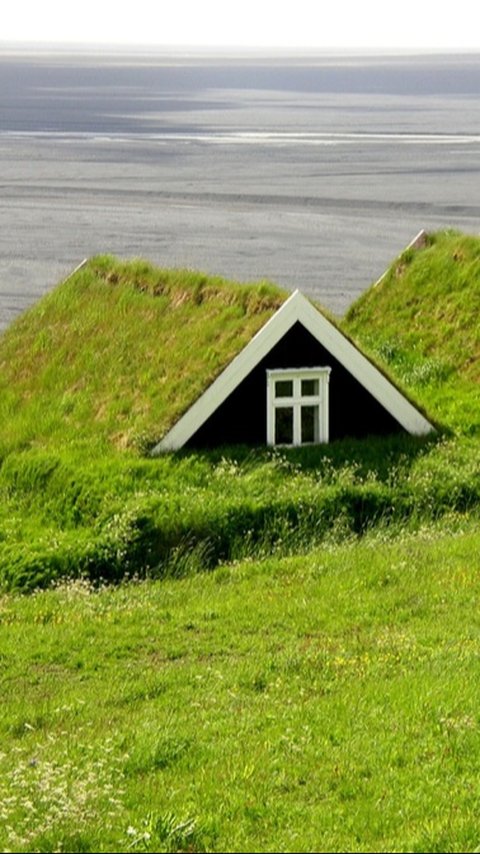 Ini Satu-Satunya Negara di Dunia yang Tidak Ada Nyamuk