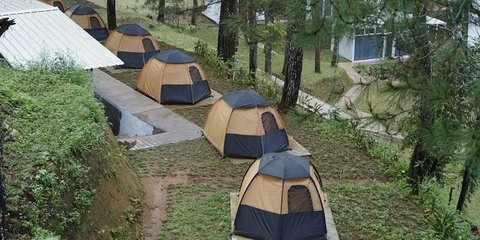 Potret Wisata Glamping Milik Kopassus, Suasananya Sejuk dan Nyaman