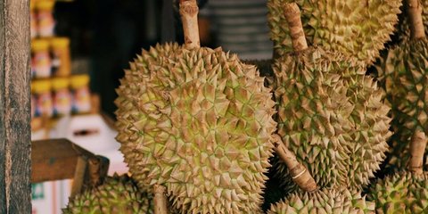 Durian Beku RI Tembus Pasar China
