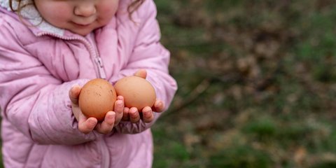 Tak Hanya dari Susu! Ini Deretan Makanan dan Minuman Tinggi Kalsium yang Bantu Pertumbuhan Anak Lebih Optimal