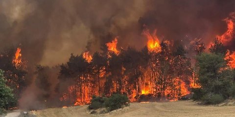 Dua Negara Eropa Ini Tolak Bantu Israel Padamkan Kebakaran Hutan, Ternyata Ini Alasannya