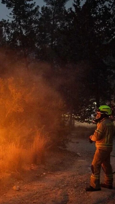 Dua Negara Eropa Ini Tolak Bantu Israel Padamkan Kebakaran Hutan, Ternyata Ini Alasannya
