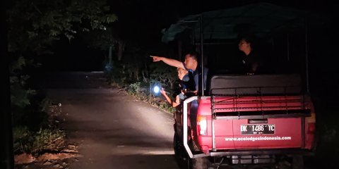 Menelusuri Wisata Jejak Gajah di Taman Nasional Way Kambas, Rute dari Jakarta Pakai Kapal Ferry