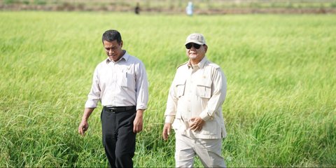 Mentan Amran Unggah Foto Bareng Prabowo di Tengah Sawah dan Tulis 'Alhamdulillah'