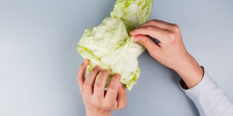 Konsumsi Kubis Sehari-hari dalam Porsi Tepat Bisa Tekan Risiko Kanker