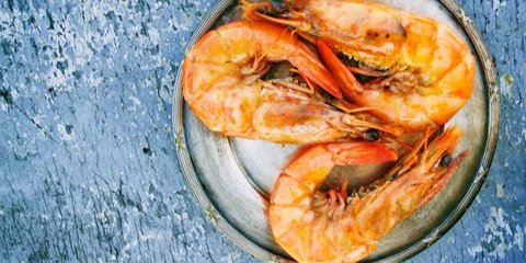 Ajaib! 6 Hewan Ini Hidup Tanpa Otak, Tetap Bisa Bergerak dan Berfungsi Normal