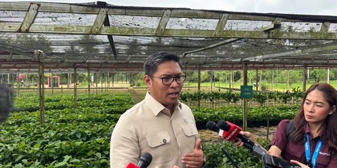 Gudang Bulog Penuh Stok Beras, Presiden Prabowo Perintahkan Bikin Gudang Baru Libatkan Koperasi Desa