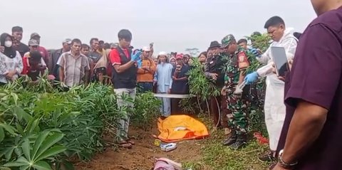 Jenazah Wanita Ditemukan di Kebun Singkong Tulang Bawang, Diduga Korban Pembunuhan