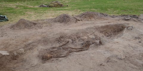 Arkeolog Temukan Makam Wanita Viking Berusia 1.100 Tahun, Dikubur Bersama Anjingnya di Pulau Terpencil