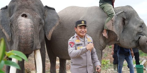 Ramai-Ramai Jenderal TNI dan Polisi 'Jalan-Jalan' ke Hutan, Ada Momen Irjen Herry Heryawan Pose Bareng Gajah