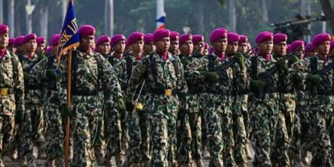 Penjelasan TNI AD soal Rencana Rekrutmen 24 Ribu Tamtama Buat Pertanian