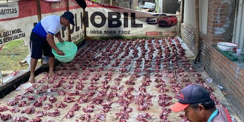 Tak Dapat Daging Kurban, Kakek Ini Ngamuk dan Rusak Kantor Balai Kota