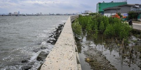 Perjalanan Panjang Proyek Giant Sea Wall di Teluk Jakarta, Kini Digas Prabowo Setelah Berkali-kali Tertunda