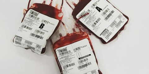Darahmu, Nyawaku, Mengenal Golongan Darah Langka dan Pentingnya Donor di Hari Donor Darah Sedunia