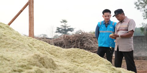 Dorong Transisi Energi, Daerah di Kalimantan Ini Jadi Tulang Punggung Rantai Pasok Energi Bersih