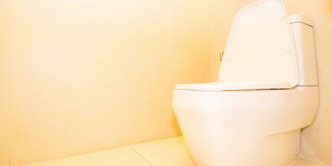 Toilet Emas 18 Karat Senilai Rp106 M Dicuri, ini Sosok Pelaku Dijatuhi Hukuman Penjara