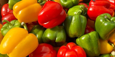 Paprika Matang atau Mentah, Mana yang Lebih Sehat? Ini Cara Menyantapnya dengan Aman dan Lezat