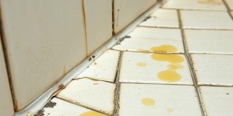 Alasan Jatuh di Kamar Mandi Bisa Berakibat Fatal, Begini Penjelasan Medisnya