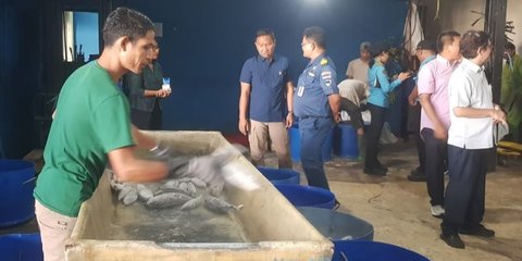 Rekam Jejak Herry Muryanto, Eks Deputi KPK yang Kini Pimpin Satgassus Optimalisasi Penerimaan Negara