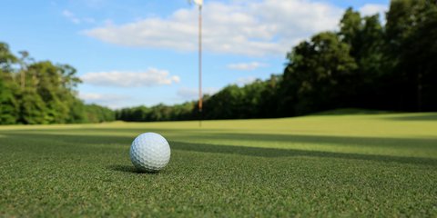 Peringatan Keras! Pejabat BUMN Tak Boleh Main Golf Saat Jam Kerja