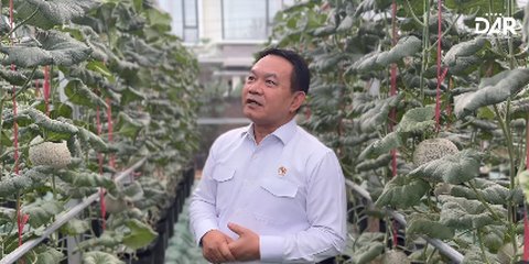 Potret Kebun Melon Jepang Milik Jenderal Dudung Abdurachman, Kalau Panen Cuannya Tak Kaleng-Kaleng