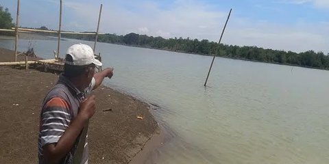 Menengok Lebih Dekat Pulau Arnavat, Daratan Terakhir Muncul di Indonesia?