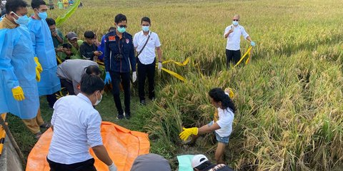 Aksi Sadis Pemuda di Tuban, Bunuh Kekasih hingga Tersungkur ke Sawah karena Tak Terima Ditinggal Menikah