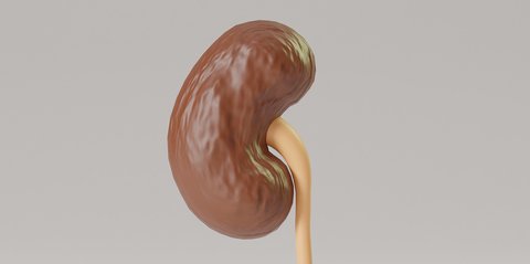 Bahaya Keseringan Konsumsi Paracetamol, Bisa Sebabkan Kanker Ginjal!
