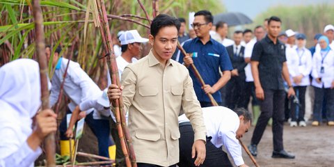VIDEO: Sakit Asam Lambung, Wapres Gibran Takut Seruput Kopi Tak Bisa Tiru Gaya Presiden Prabowo