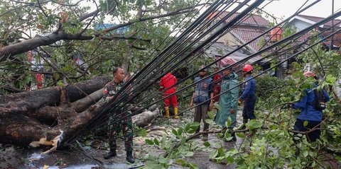 FOTO: Penampakan Pohon Raksasa Tumbang di Pertigaan Jalan Depok, Bangunan Rusak dan Lalu Lintas Lumpuh