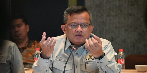 BUMN Tak Dapat PMN, Mulyadi Gerindra Ingatkan Potensi Dividen Mengendap di Danantara