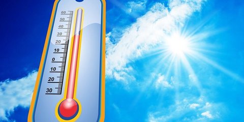 Kenali Tanda-Tanda Heatstroke yang Sangat Bahaya di Cuaca Panas