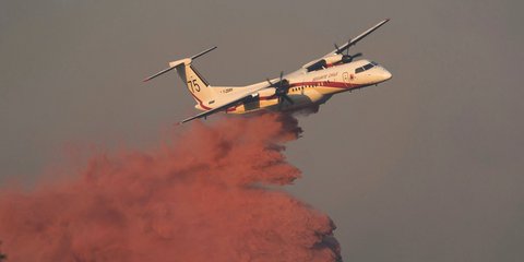 FOTO: Gelombang Panas Ekstrem Eropa Picu Kebakaran Hutan di Prancis