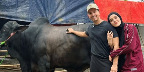 Penampakan Sapi Kurban 1,2 Ton Sonny Septian dari Raffi Ahmad, Bernama Kahfi - Diantar Langsung sama Irfan Hakim