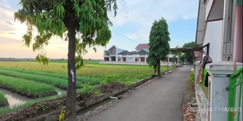 Potret Rumah Mewah dan Megah Para Bos Warteg, Penghasilannya Tiap Bulan Fantastis Bikin Geleng-geleng Kepala