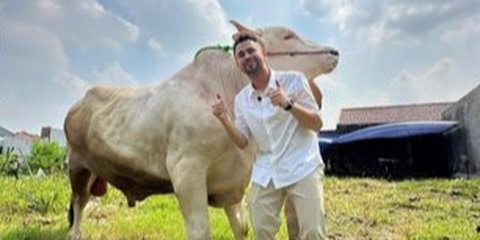 Raffi Ahmad Borong 5 Sapi Premium dari Irfan Hakim untuk Kurban Idul Adha 2025, Satu Sapi Bonus Buat Baby Lily