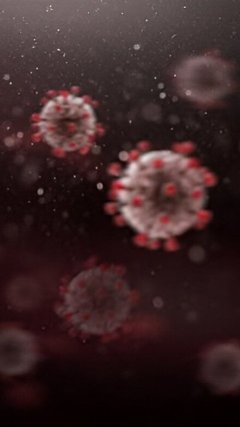 Satu Warga Banyuasin Positif Covid-19, Begini Kondisinya