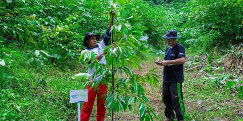 Hari Lingkungan Hidup Sedunia, BRI Pertegas Komitmen Jaga Ekosistem Lingkungan melalui BRI Menanam