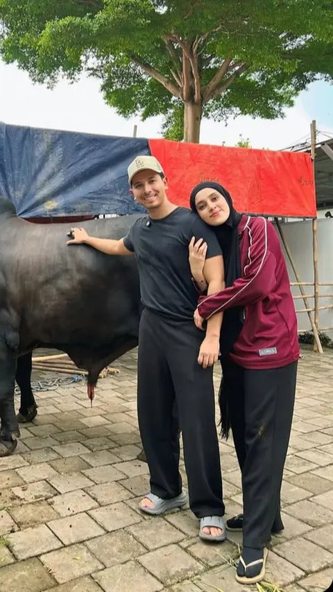 Potret Sapi-Sapi Jumbo Artis Indonesia di Idul Adha 2025, Punya Sonny Septian 1,2 Ton Hadiah dari Raffi Ahmad