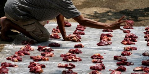 Kolesterol Tinggi atau Asam Urat, Siapa yang Berisiko saat Makan Daging Kurban Idul Adha 2025?