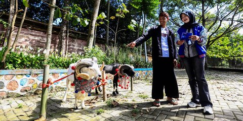 Iduladha Jadi Momentum, BRI Peduli Tingkatkan Produktivitas Peternak Domba di Desa BRILiaN Sukalaksana Garut