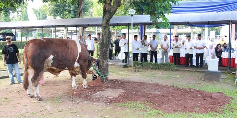 Iduladha 1446 H, Warga Makoopsudnas Sembelih 3 Sapi dan 19 Kambing untuk Kaum Dhuafa