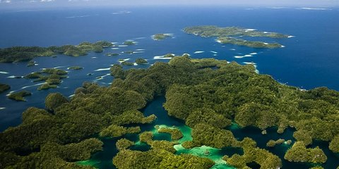 Perkiraan Biaya Dibutuhkan untuk Liburan ke Raja Ampat dari Jakarta, Siapkan Dana Segini