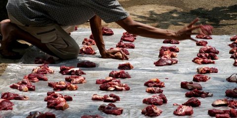 Ternyata Ini yang Bisa Pengaruhi Kualitas Daging Hewan Kurban, dari Penurunan Kualitas hingga Daya Simpan Daging