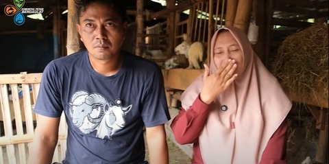 Suami Terjerat Judi Online, Cerita Wanita Ini Sampai Menteskan Air Mata Harta Habis Semua, Kini Sukses Beternak Kambing