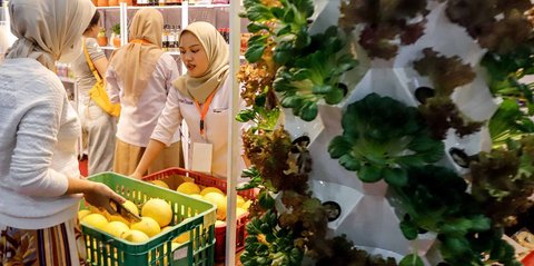 FOTO: Festival Urban Farming 2025, Menanam Harapan di Tengah Kota