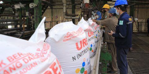 Waspada Pupuk Palsu Beredar di Pasaran, Rugikan Petani Rp3,2 Triliun